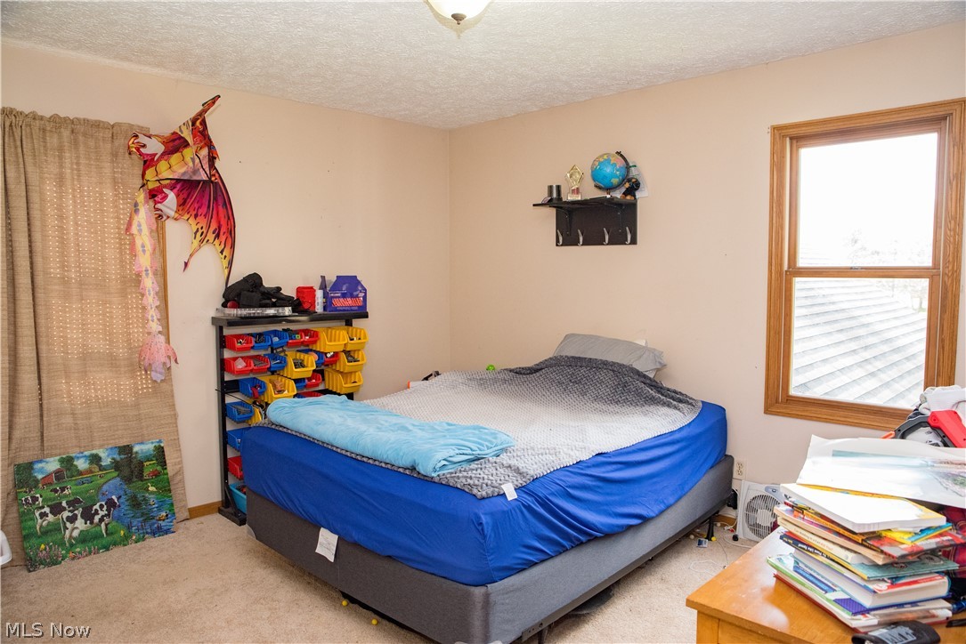 3810 Dawley Road Ravenna, OH 44266 - Photo 13 of 35 2nd Floor = Kid's Room