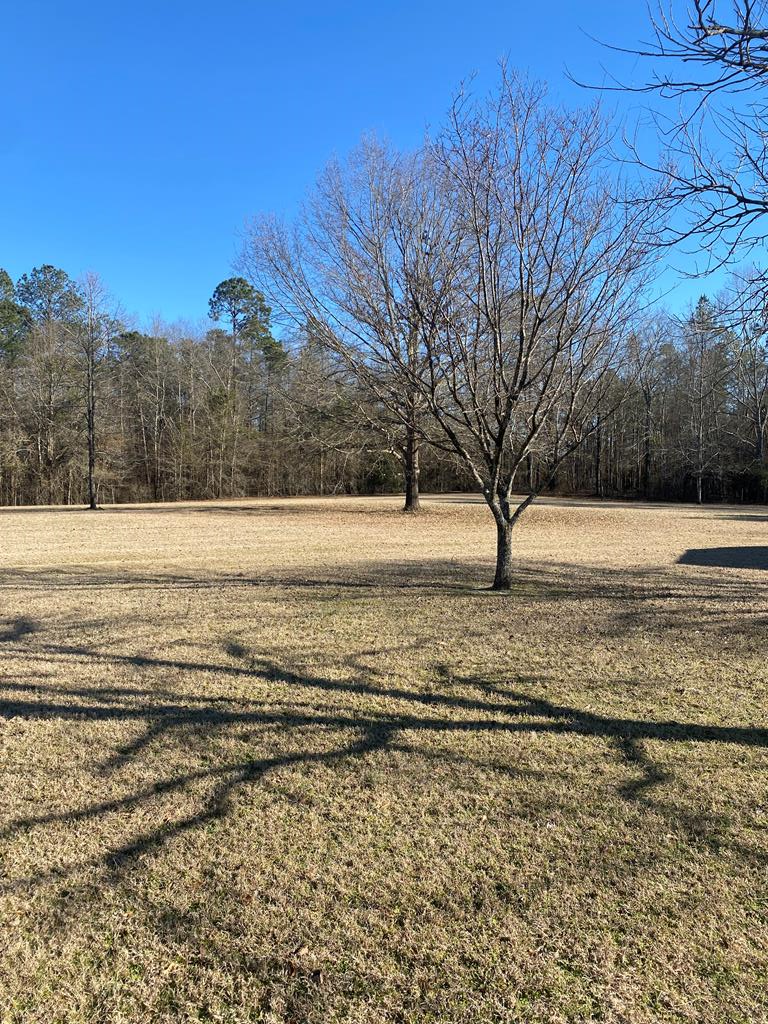 1360 Hut Road Box Springs, GA 31801 - Photo 35 of 43 Gallery Image 35