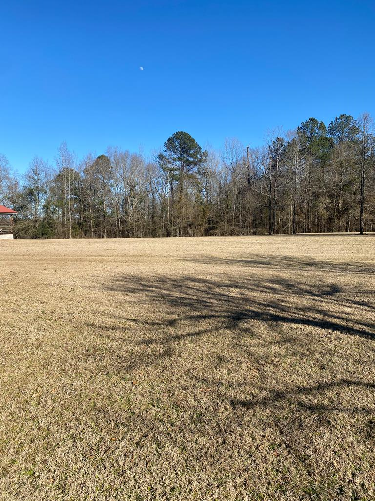 1360 Hut Road Box Springs, GA 31801 - Photo 36 of 43 Gallery Image 36