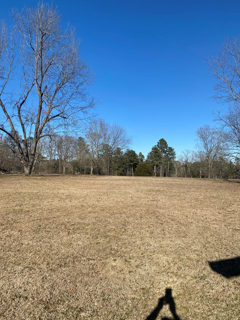 1360 Hut Road Box Springs, GA 31801 - Photo 41 of 43 Gallery Image 41