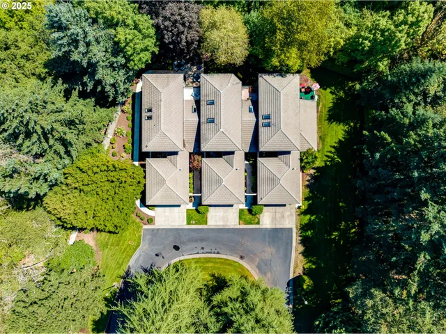 a view of a tree in front of a house