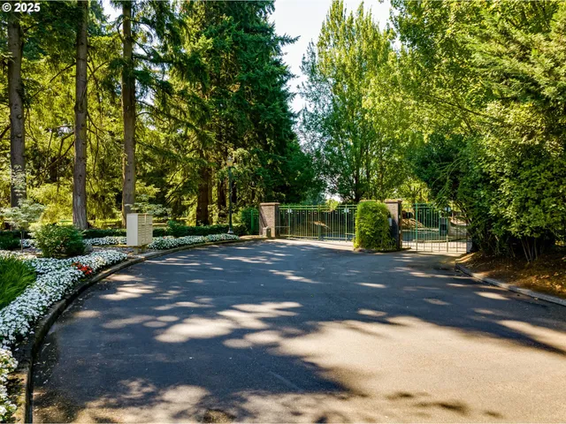 a view of grapes plant
