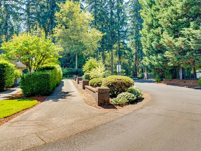 a view of a yard with plants
