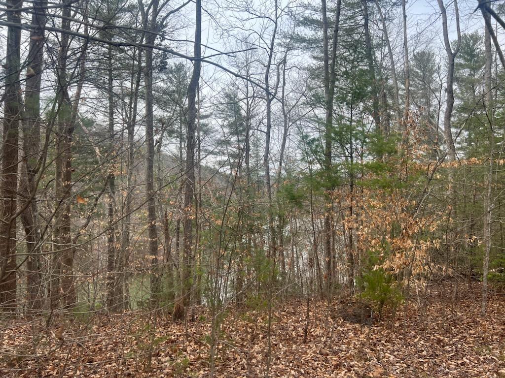 1180 Union Bridge Road Ferrum, VA 24088 - Photo 35 of 50 39