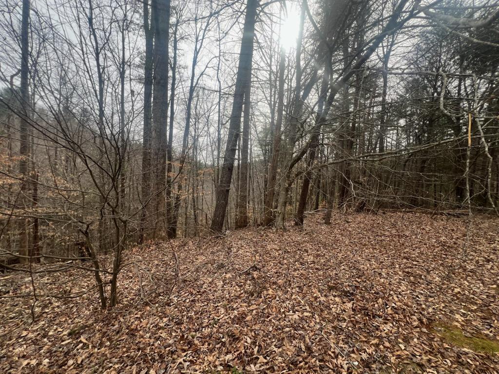 1180 Union Bridge Road Ferrum, VA 24088 - Photo 36 of 50 41