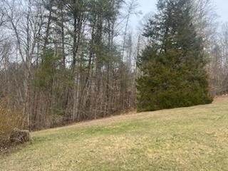 1180 Union Bridge Road Ferrum, VA 24088 - Photo 39 of 50 46
