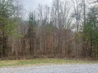 1180 Union Bridge Road Ferrum, VA 24088 - Photo 40 of 50 47