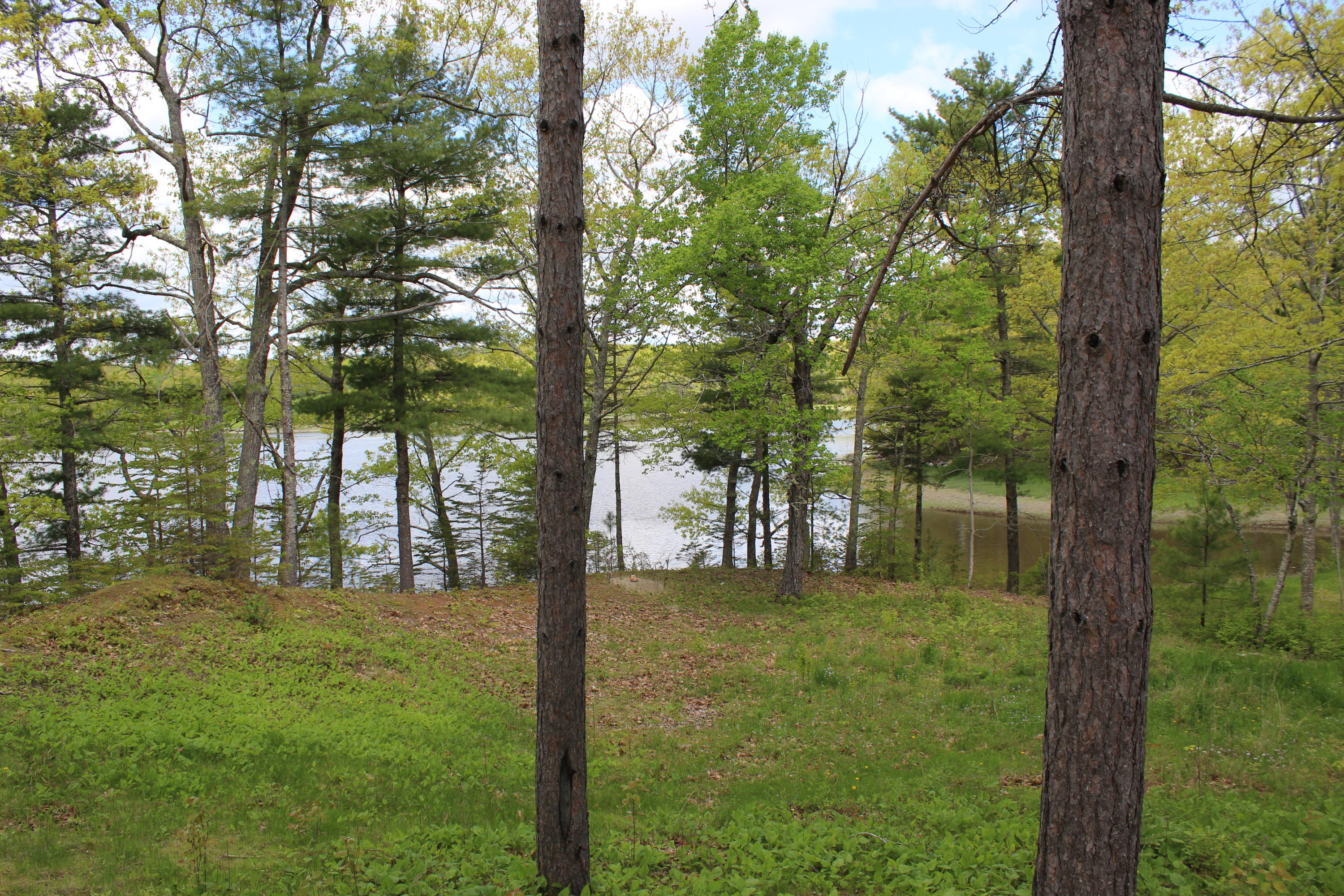 447 Castine Road Orland, ME 04472 - Photo 7 of 92 IMG_7255