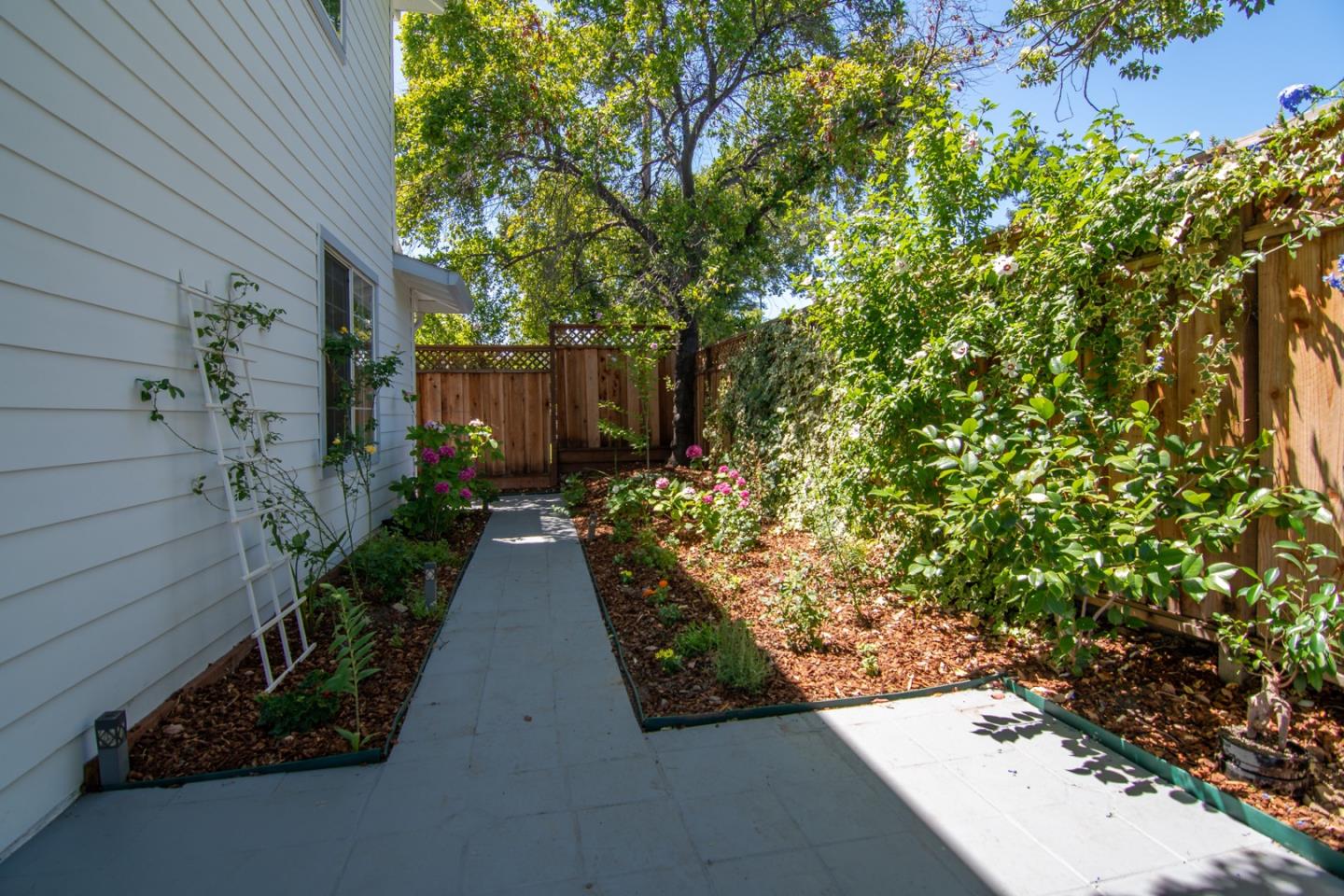 535 Sobrato Drive Campbell, CA 95008 - Photo 27 of 32 a view of back yard