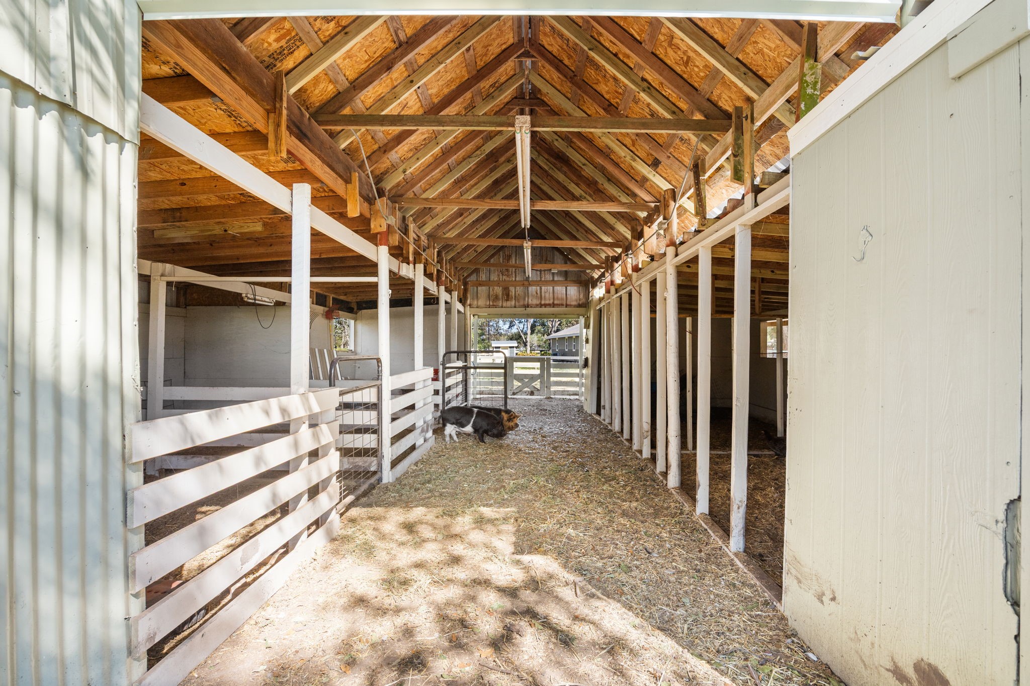 2693 Fairview Road Alvin, TX 77511 - Photo 39 of 49