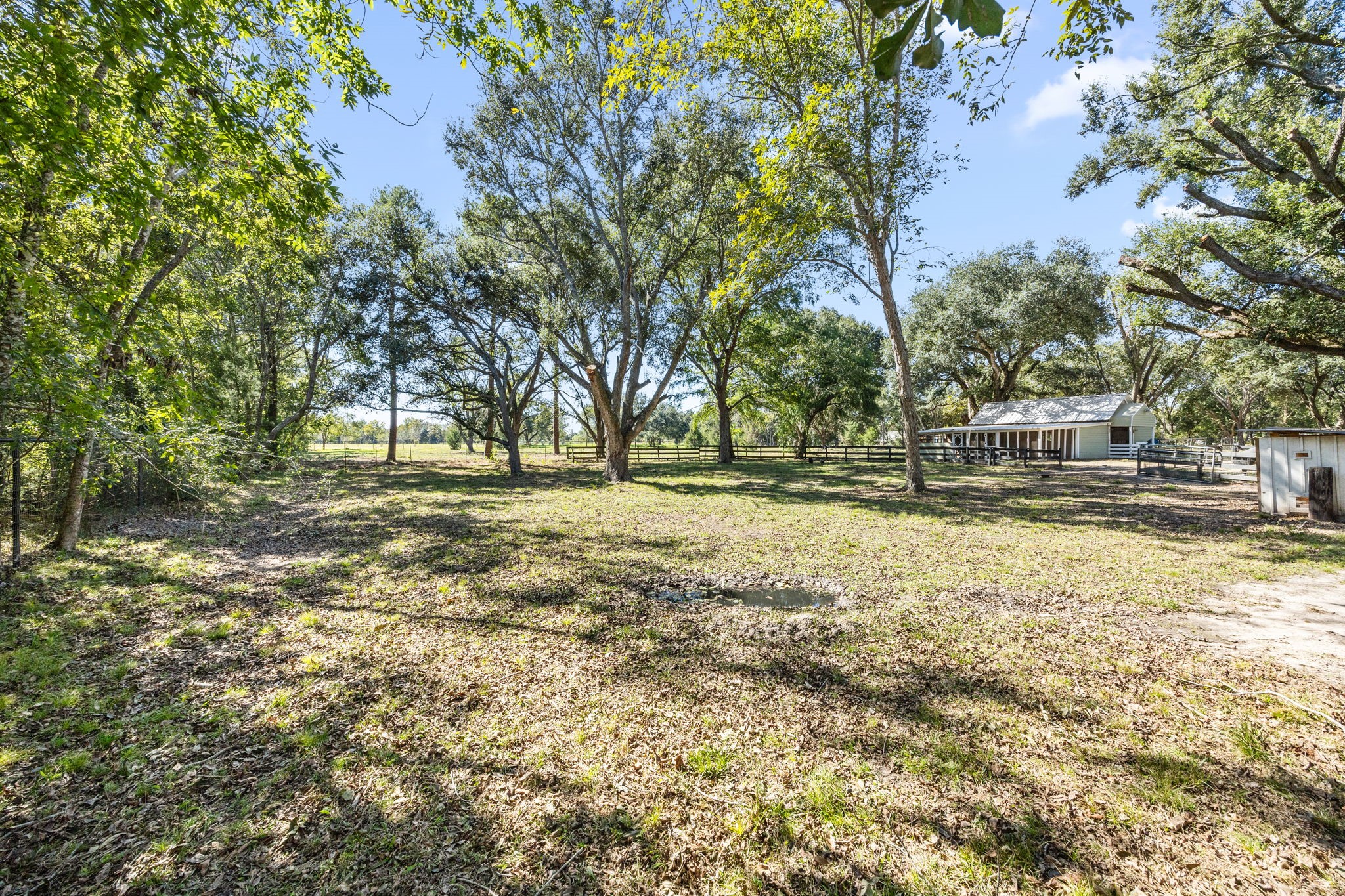 2693 Fairview Road Alvin, TX 77511 - Photo 40 of 49 a view of outdoor space with trees