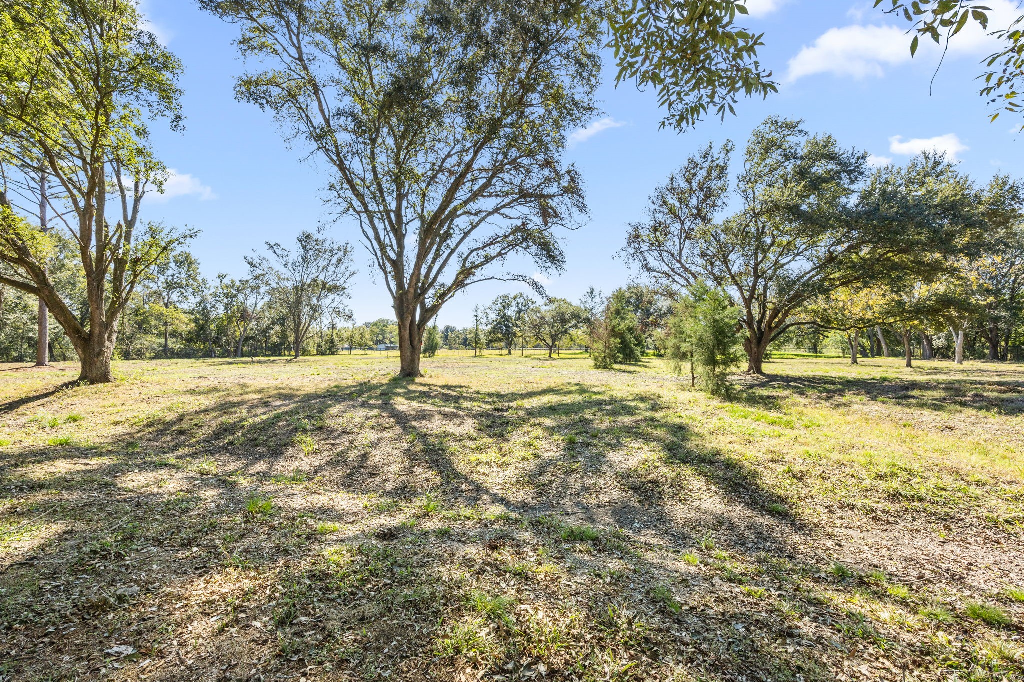 2693 Fairview Road Alvin, TX 77511 - Photo 42 of 49 a view of yard with trees