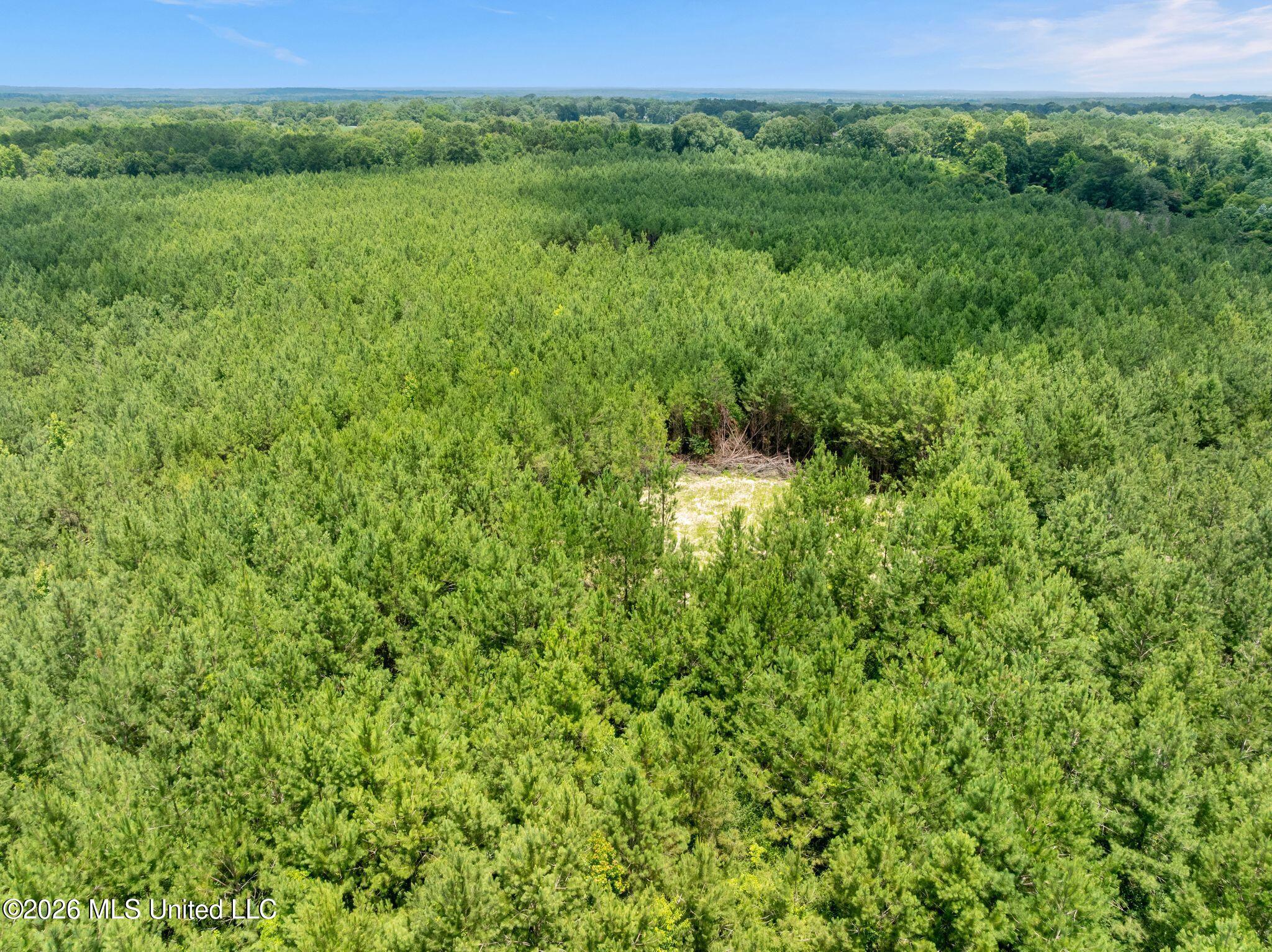 31-acres Ridgeland Road Bassfield, MS 39421 - Photo 17 of 27 85_Ridgeland_Rd-17