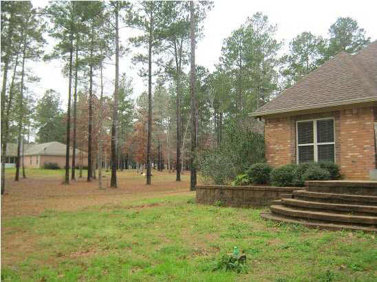 670 Sand Hill Road Brandon, MS 39047 - Photo 14 of 15 other rear side view