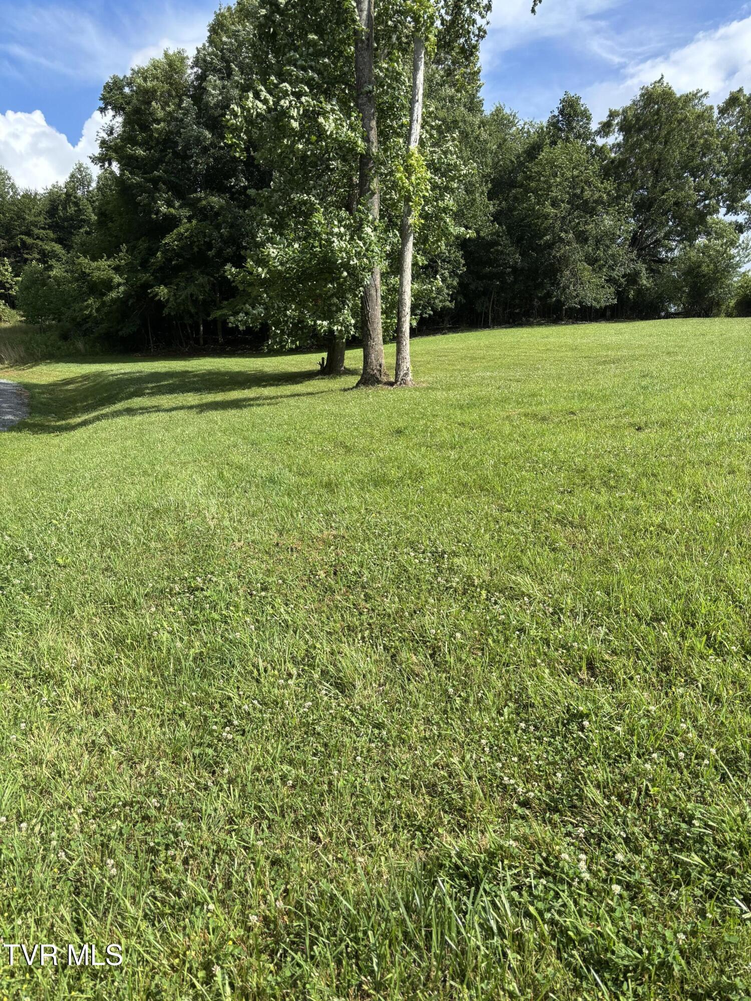 1095 Reynolds Road, Unit 29 Piney Flats, TN 37686 - Photo 4 of 13 IMG_7158 - Copy