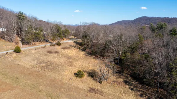 a view of a yard with a mountain