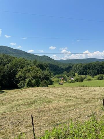 0 Coopers Cove Road Hardy, VA 24101 - Photo 6 of 9 IMG_4218