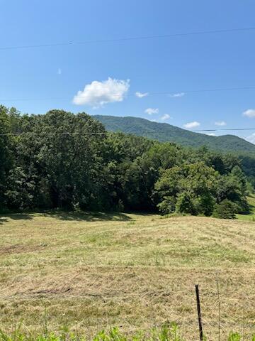 0 Coopers Cove Road Hardy, VA 24101 - Photo 7 of 9 IMG_4219