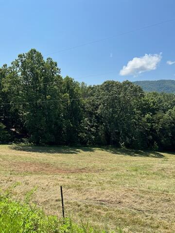 0 Coopers Cove Road Hardy, VA 24101 - Photo 8 of 9 IMG_4220