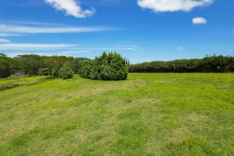 $325,000 | 16 A Lot, Kurtistown, HI 96760