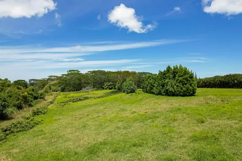 $325,000 | 16 A Lot, Kurtistown, HI 96760