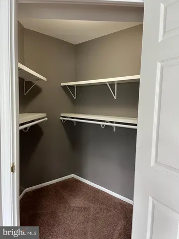 a close view of closet