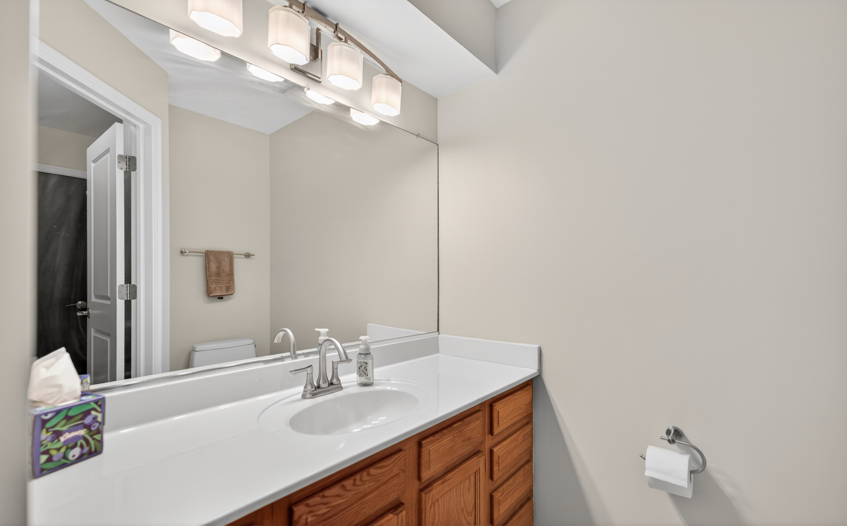 125 Ione Drive, Unit A South Elgin, IL 60177 - Photo 18 of 44 a bathroom with a sink vanity and a mirror