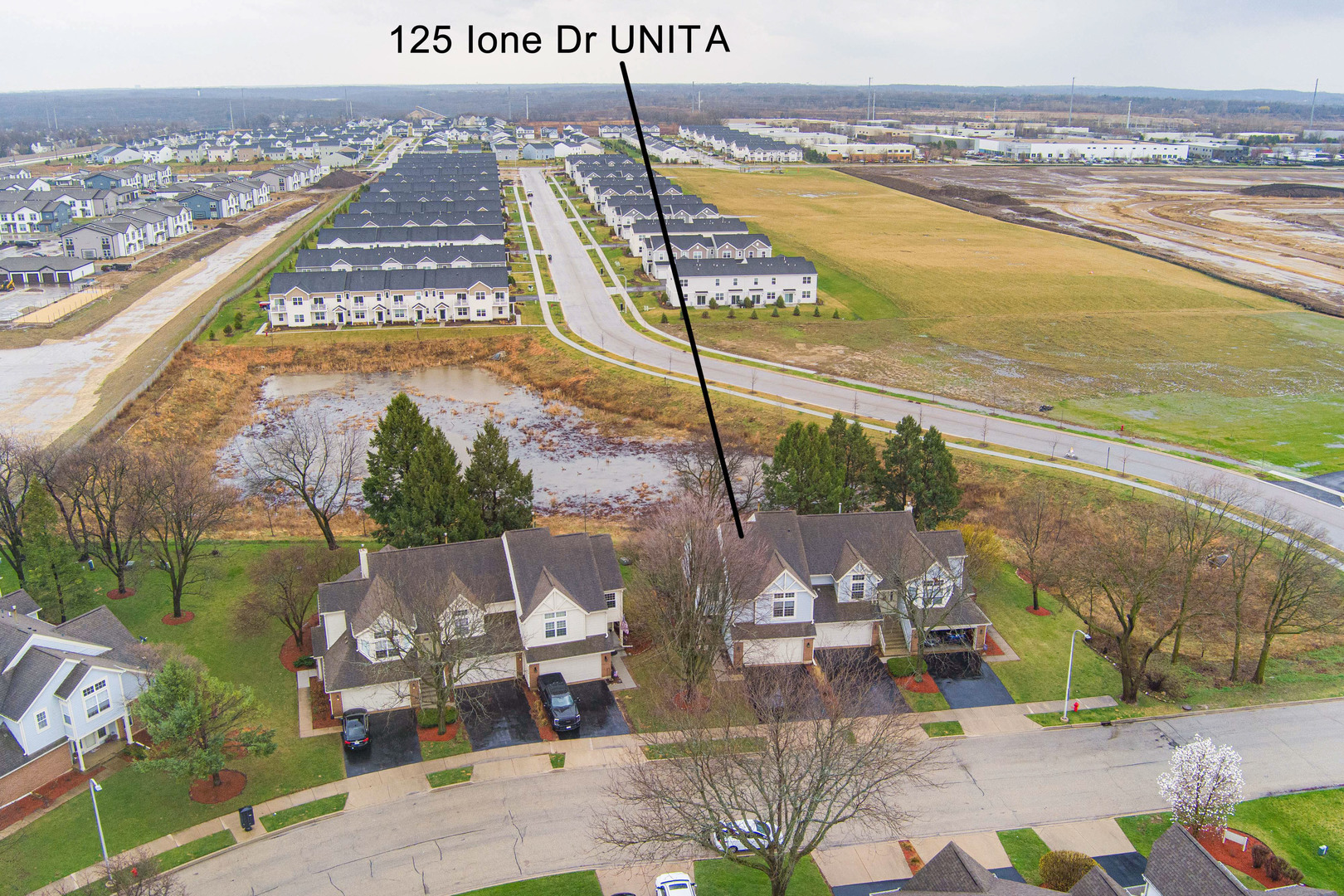 125 Ione Drive, Unit A South Elgin, IL 60177 - Photo 2 of 44 a view of a city from a terrace