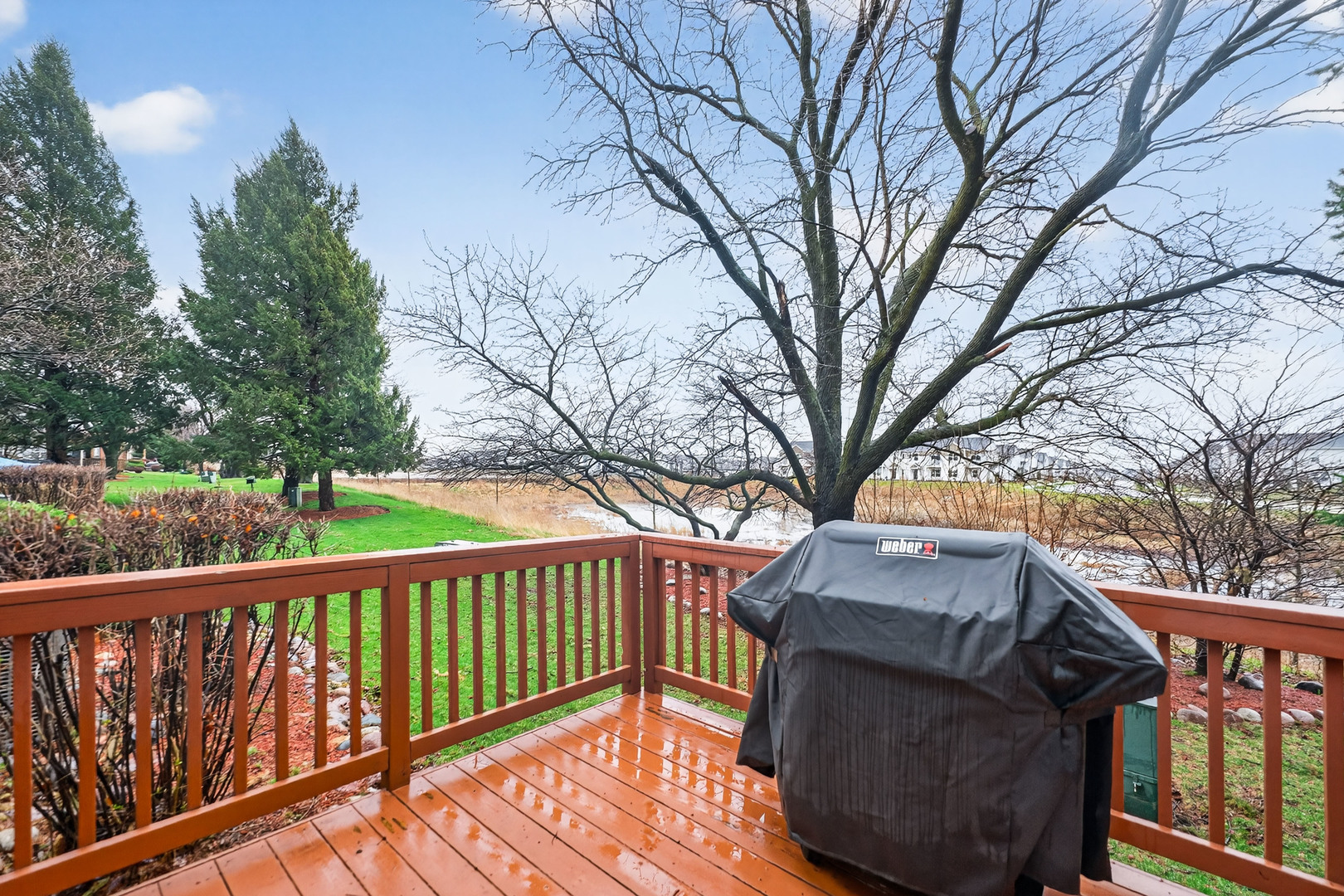 125 Ione Drive, Unit A South Elgin, IL 60177 - Photo 39 of 44 a view of a deck with a trees