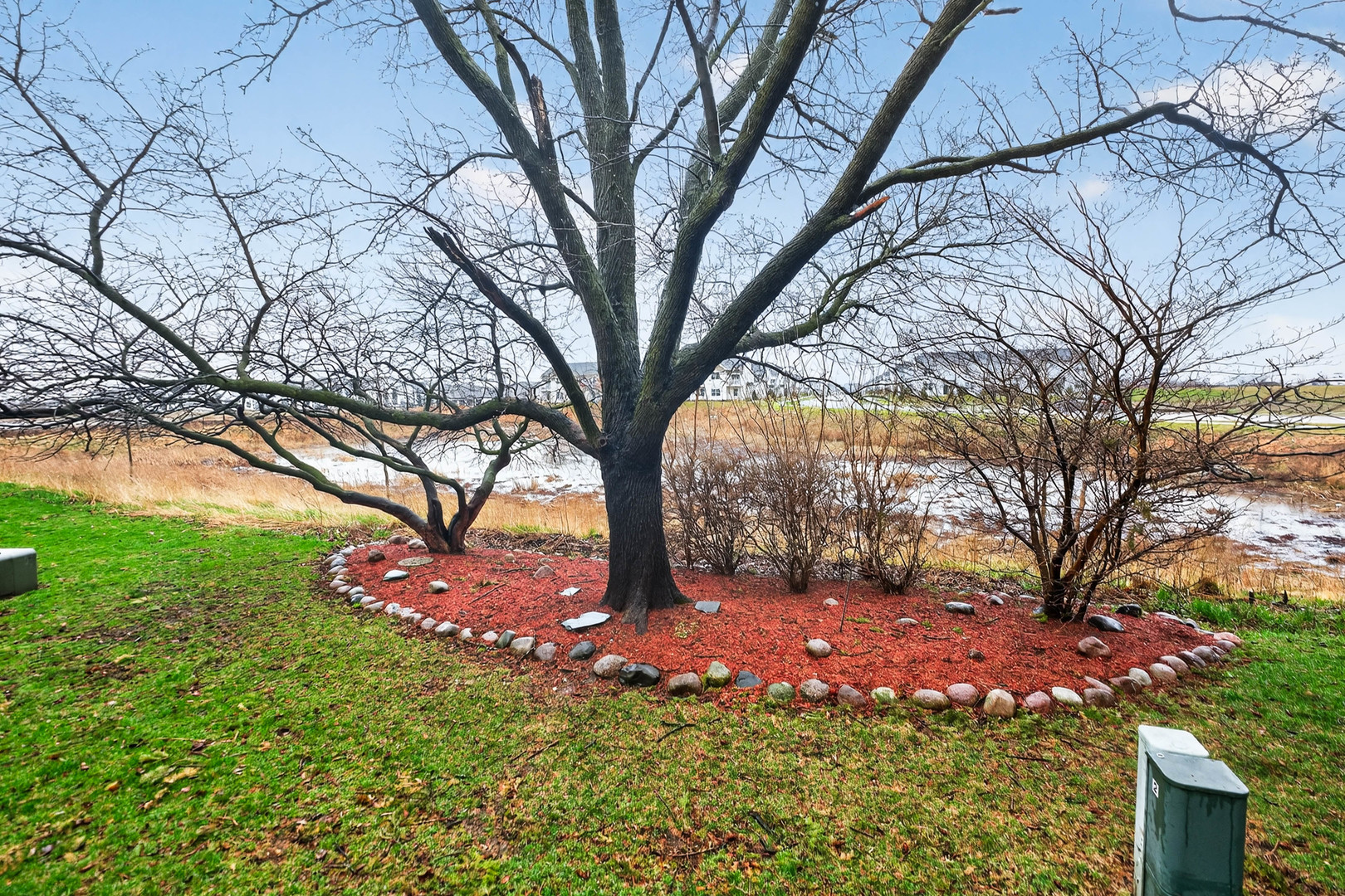 125 Ione Drive, Unit A South Elgin, IL 60177 - Photo 40 of 44 a tree lined with a tree