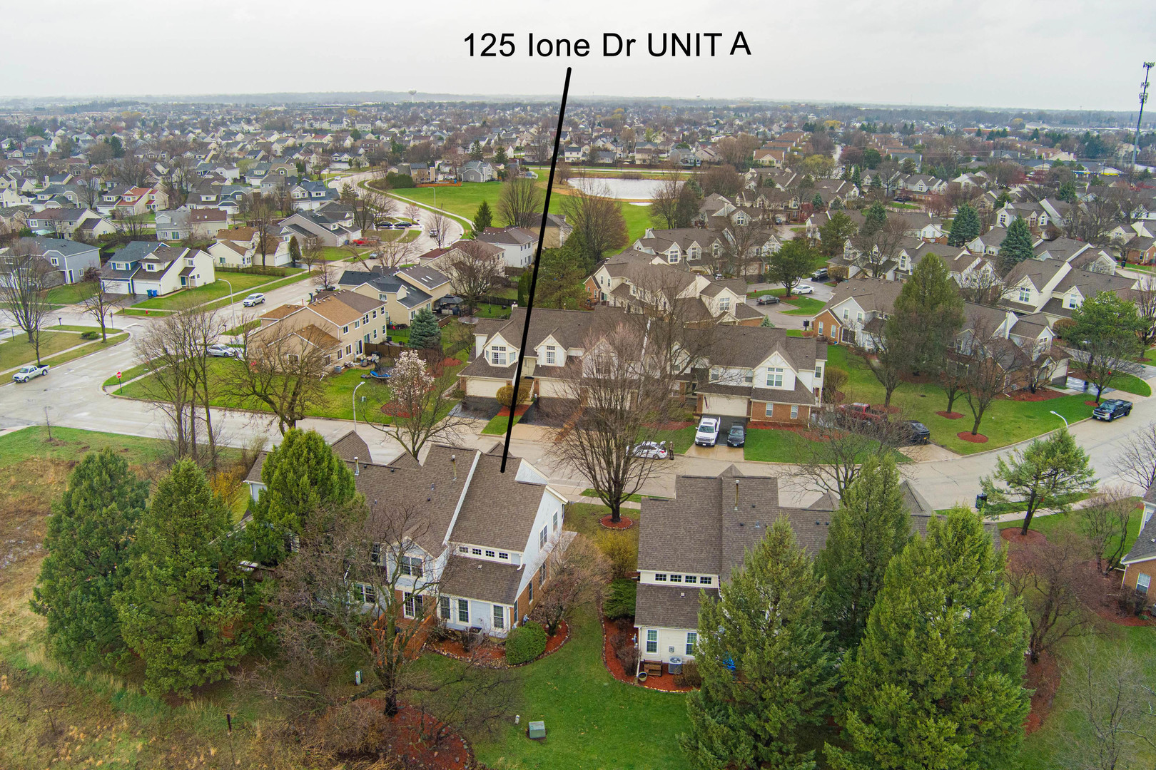125 Ione Drive, Unit A South Elgin, IL 60177 - Photo 4 of 44 an aerial view of multiple house