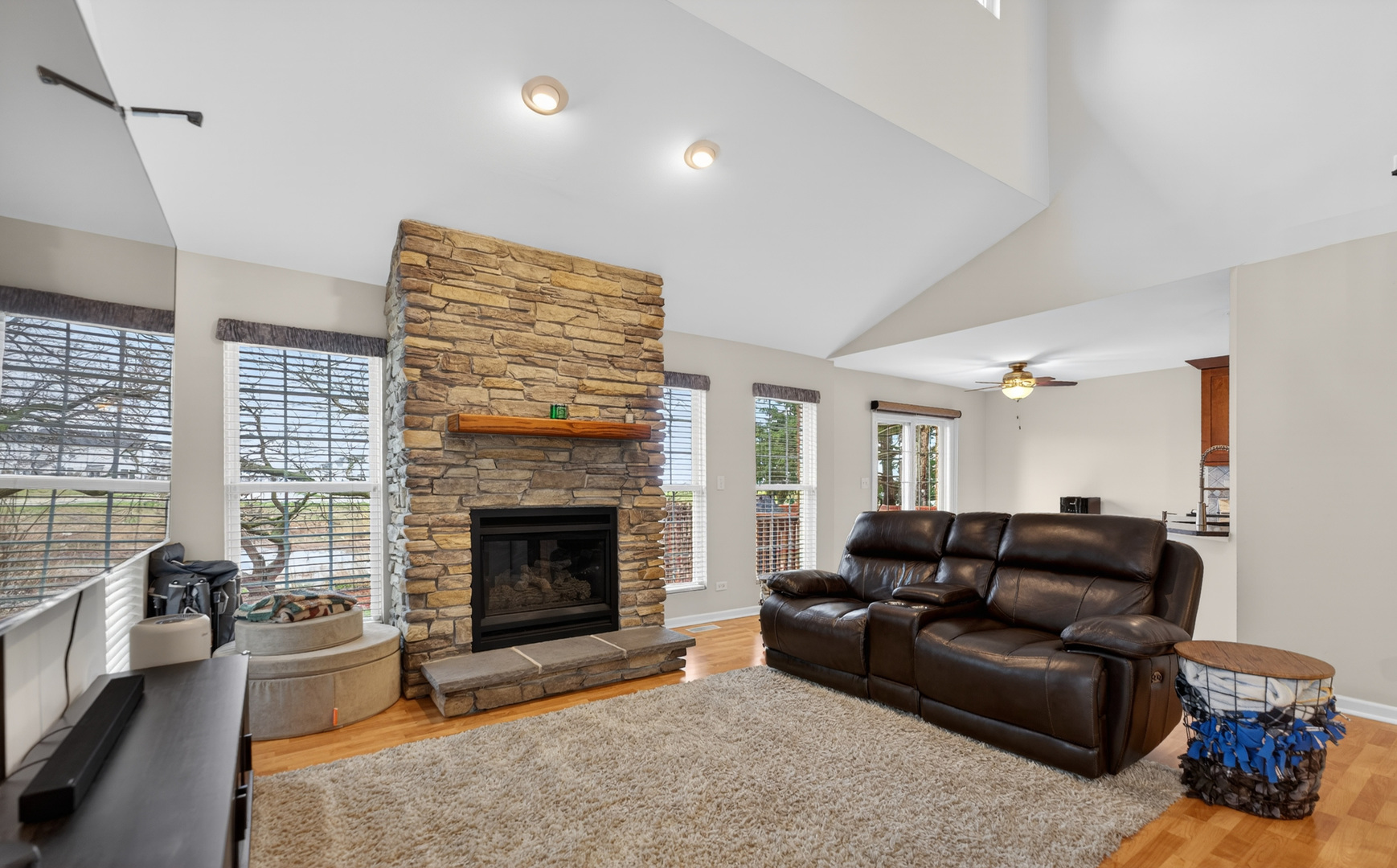 125 Ione Drive, Unit A South Elgin, IL 60177 - Photo 8 of 44 a living room with furniture and a fireplace