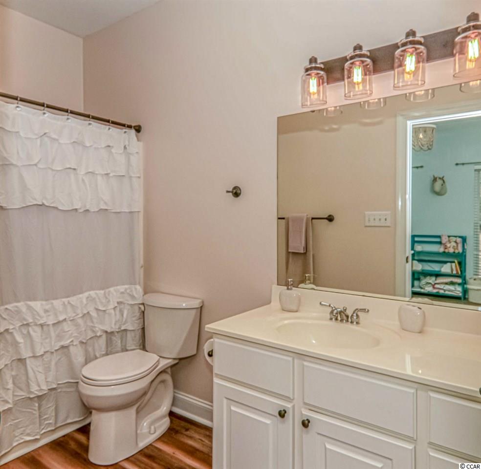 523 Brunson Spring Road Galivants Ferry, SC 29544 - Photo 30 of 38 Gallery Image 30