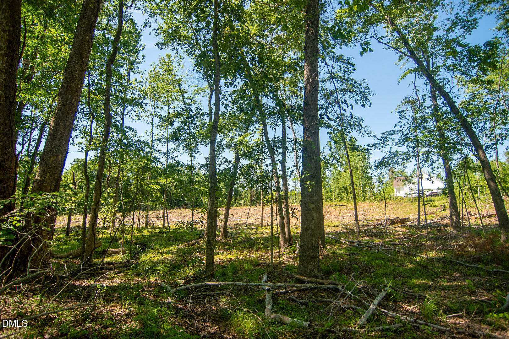 201 Briggs Road Hurdle Mills, NC 27541 - Photo 38 of 43