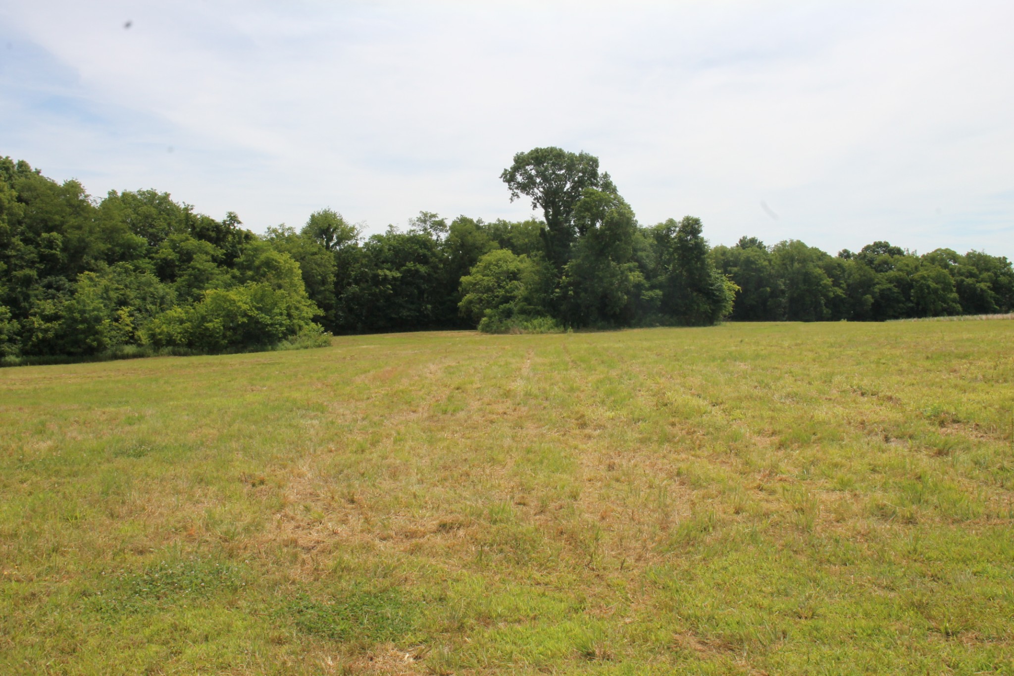 0 Bass Road Bethpage, TN 37022 - Photo 4 of 4 a view of a field with an trees in the background