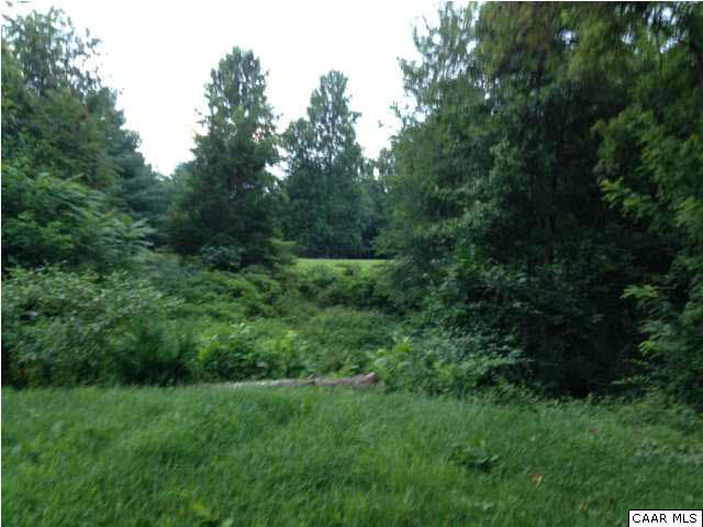 4296 Garth Road Crozet, VA 22932 - Photo 30 of 46 a view of a lush green forest with lots of trees
