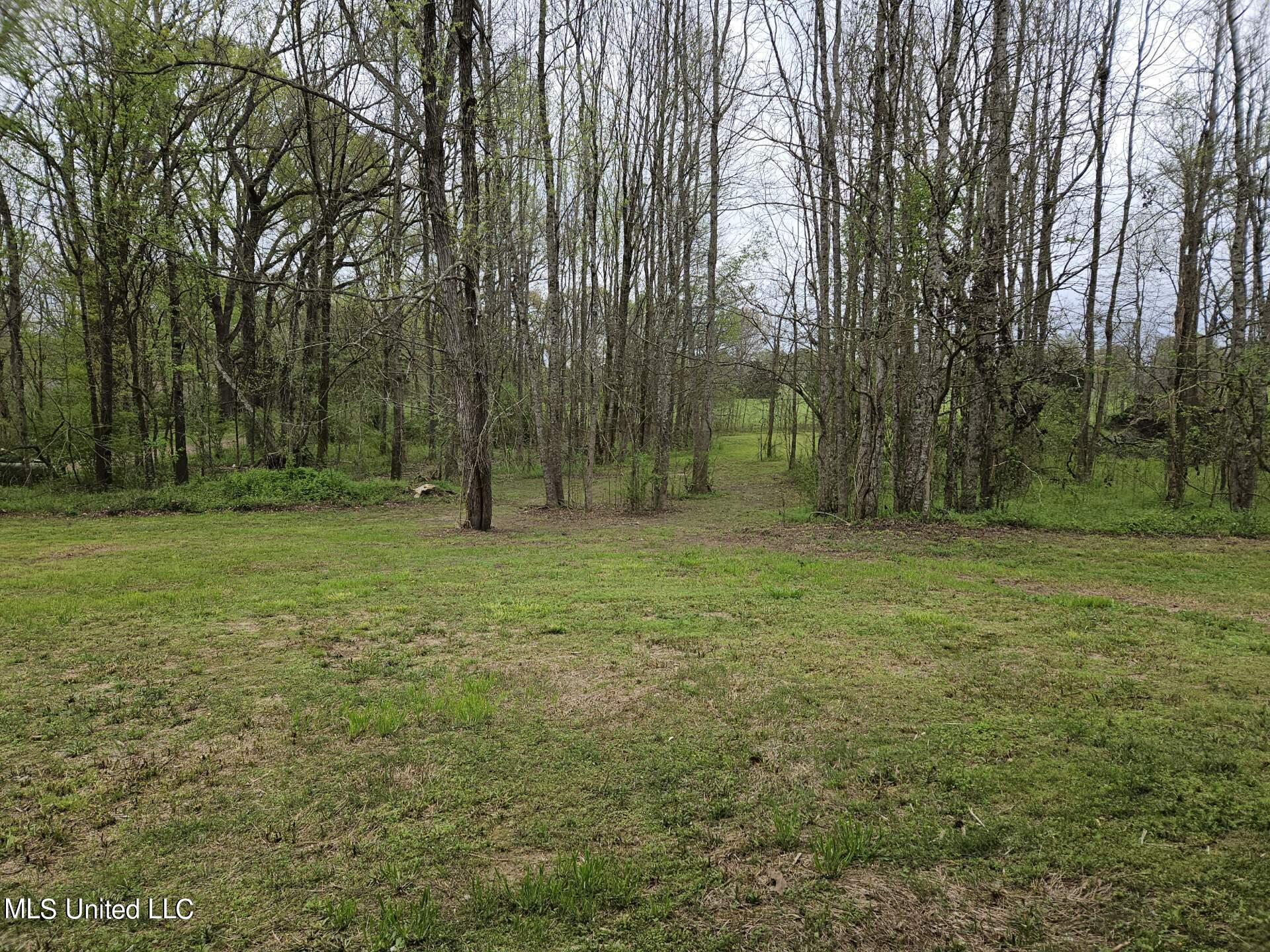 227 Middle Road Flora, MS 39071 - Photo 10 of 29 Attachment5