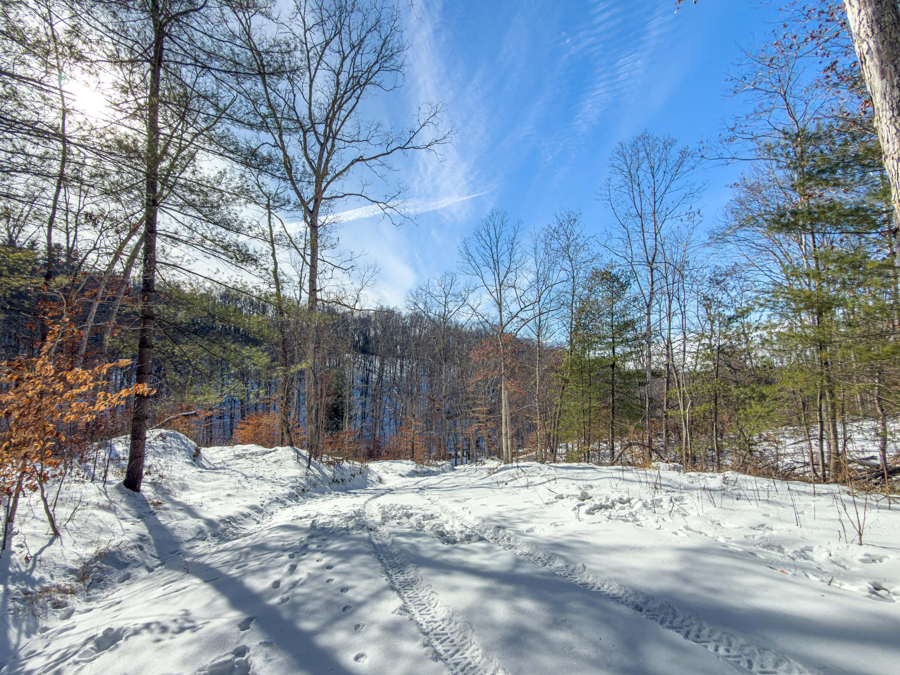 36472 Kern Road Union Furnace, OH 43158 - Photo 58 of 68 Kern Rd-58
