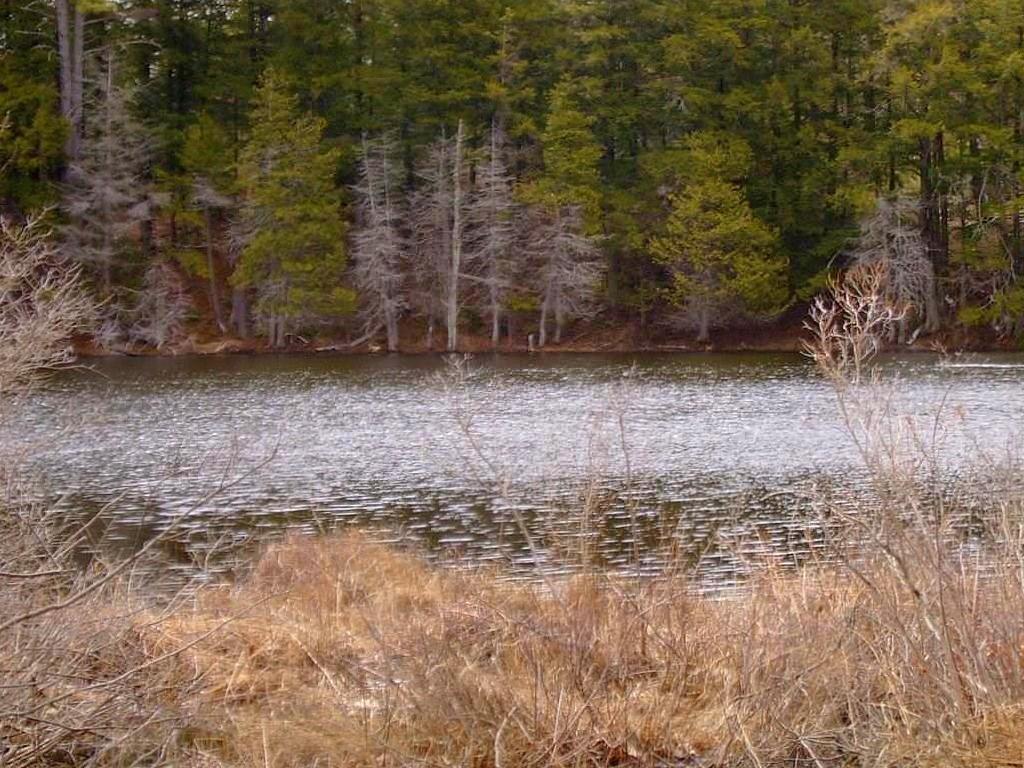 355 Chesterville Ridge Road Kents Hill, ME 04349 - Photo 19 of 20 Photo