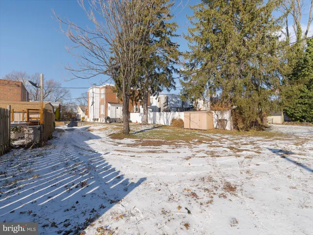 a view of road with large trees