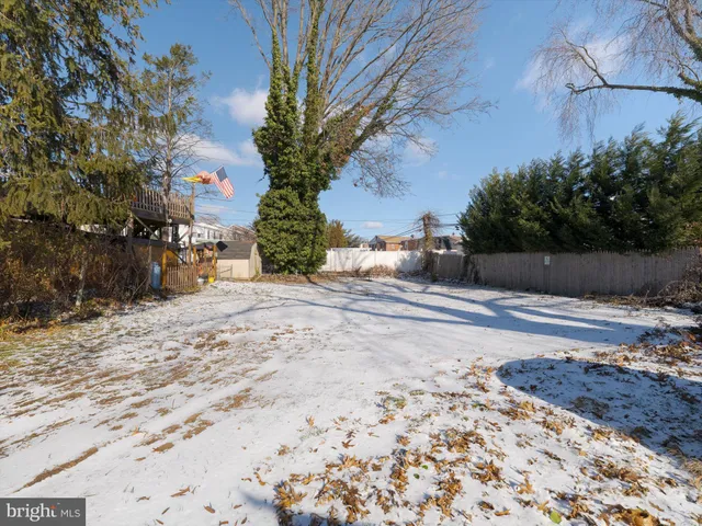 a view of a yard with plants and trees