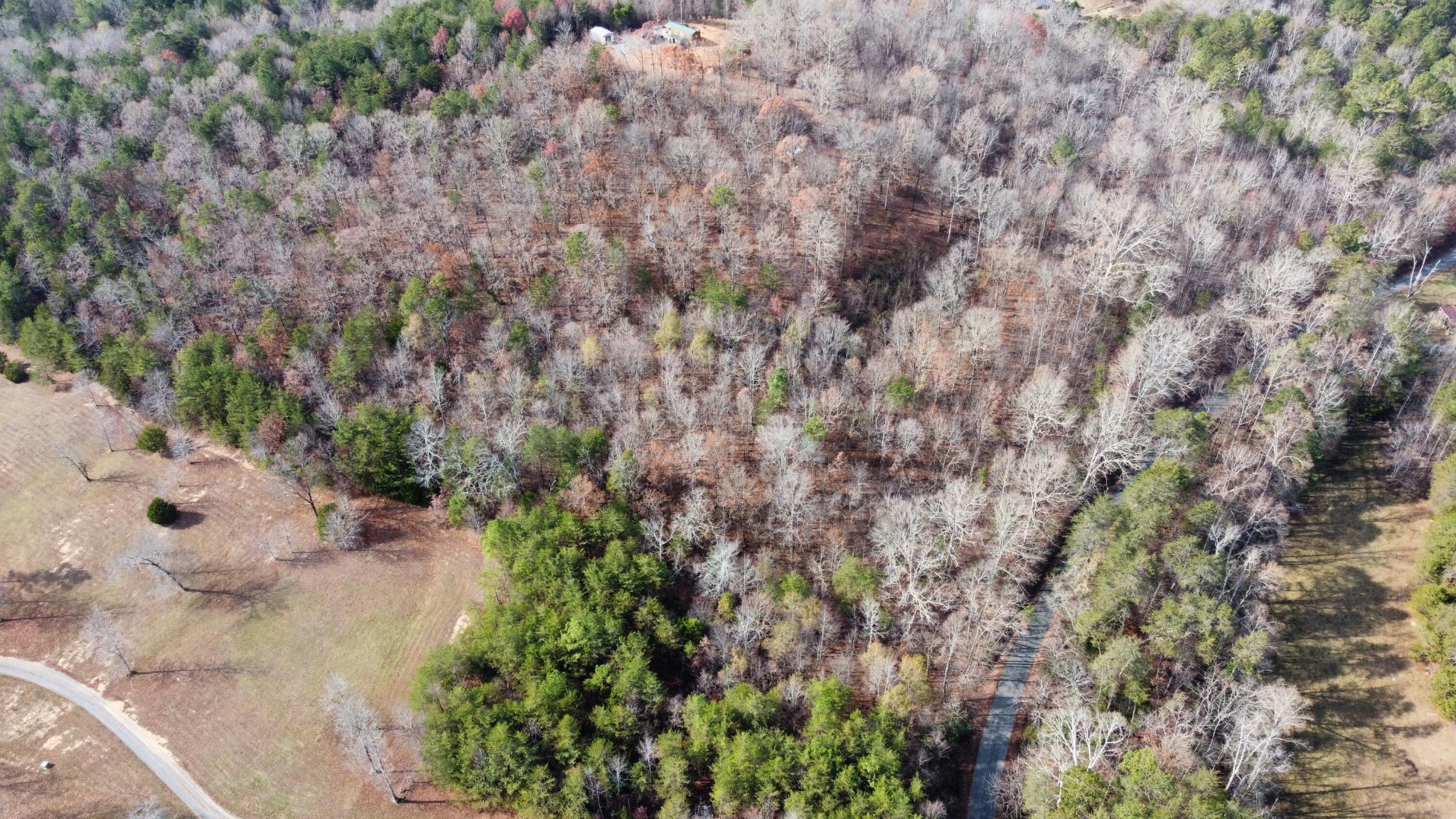 0 Wooten Road Delano, TN 37325 - Photo 21 of 27 Gallery Image 21