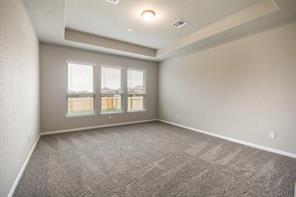 817 Paper Daisy Path Leander, TX 78641 - Photo 7 of 12 Naturally illuminated by a trio of windows, this generous primary bedroom offers ample living space.