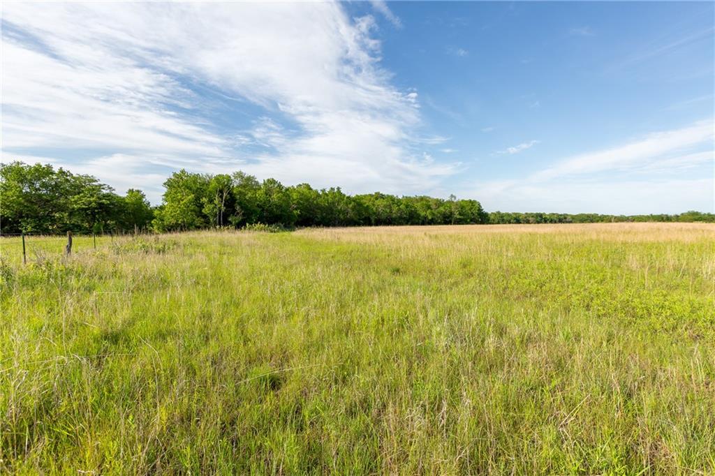 27699 South Hoch Road Osage City, KS 66523 - Photo 85 of 99