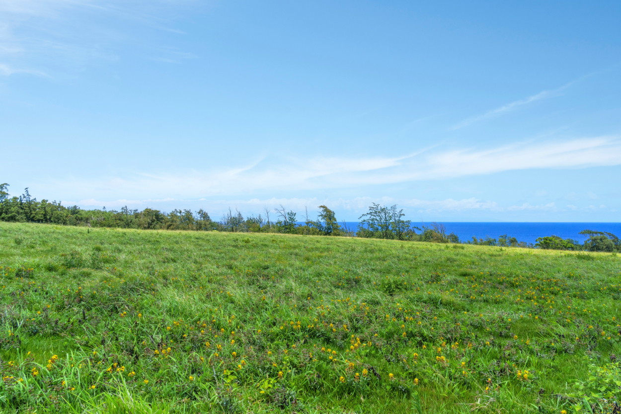 1 Uli Road Kapaau, HI 96755 - Photo 8 of 14