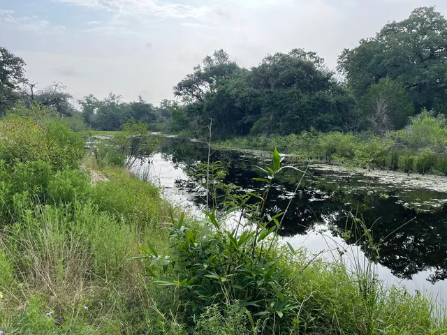 a view of house with a yard