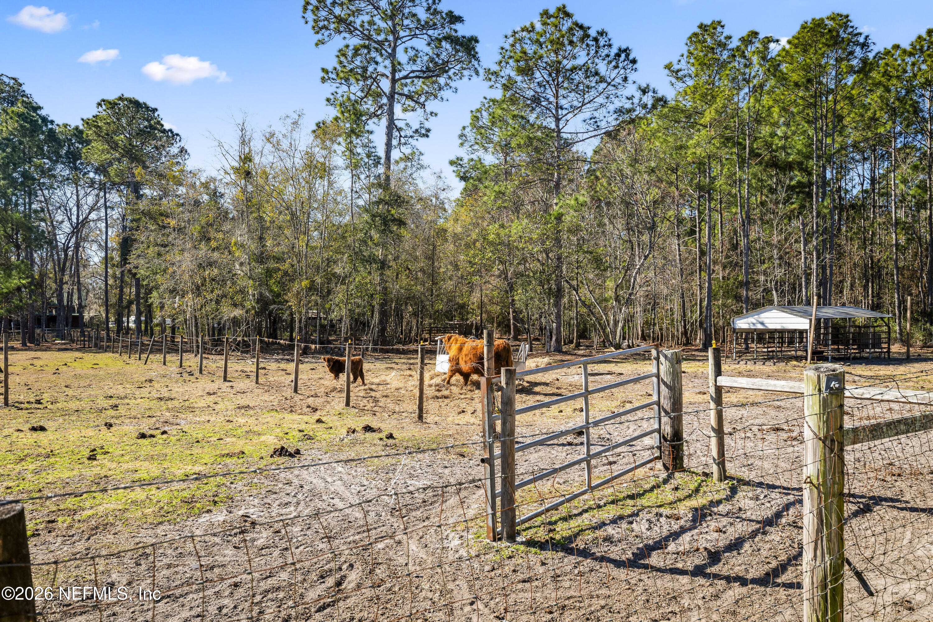 1725 Davidson Farm Road Jacksonville, FL 32218 - Photo 5 of 53 a view of a yard with trees