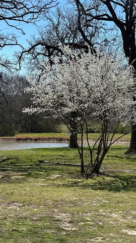 a view of swimming pool