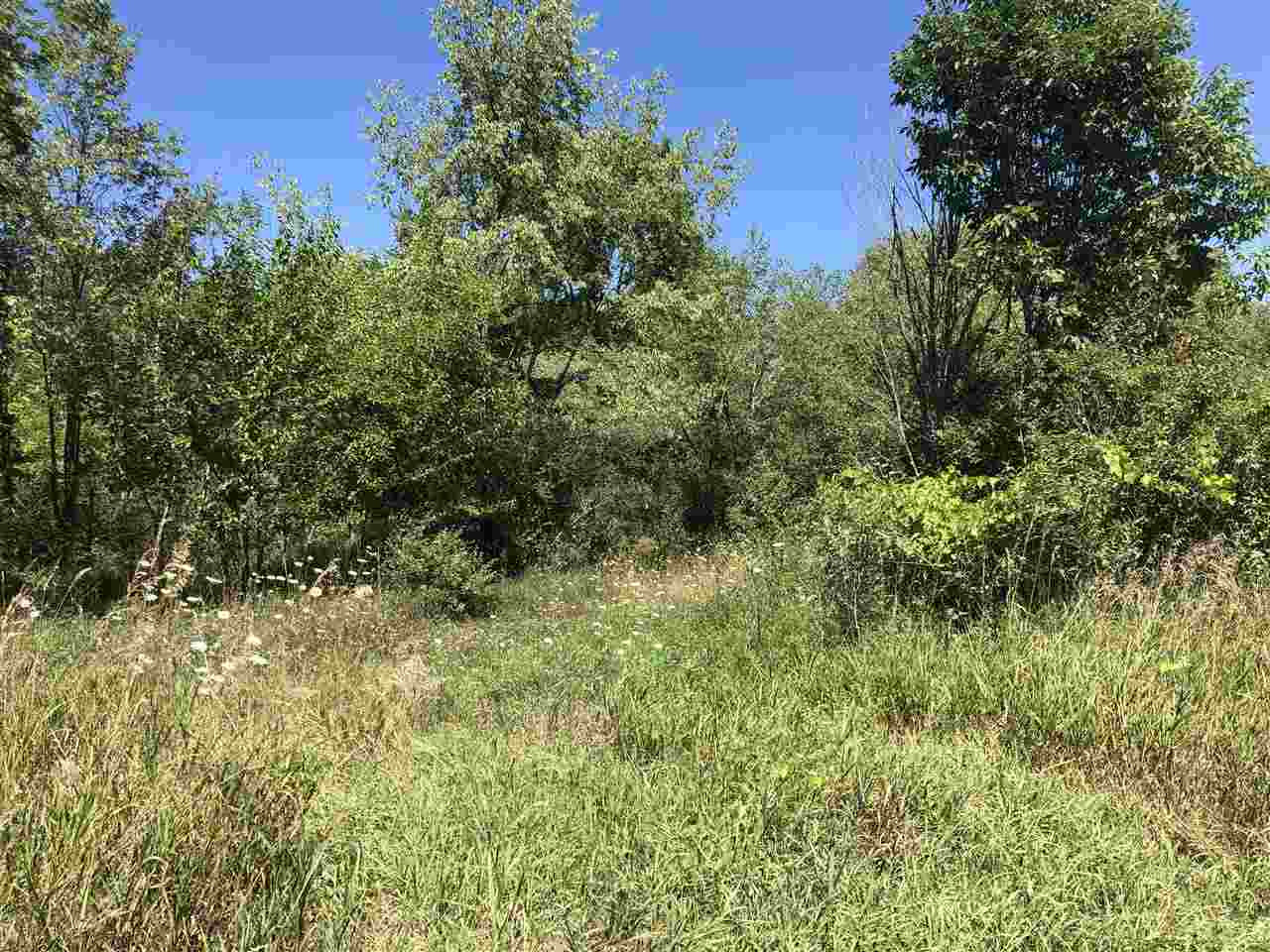 11810 Bemis Road Manchester, MI 48158 - Photo 3 of 9 Photo 3