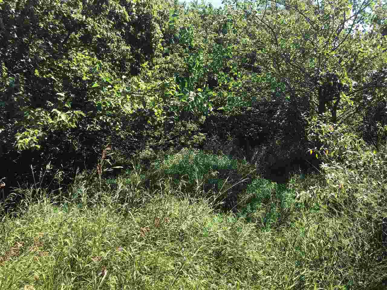 11810 Bemis Road Manchester, MI 48158 - Photo 8 of 9 Photo 8